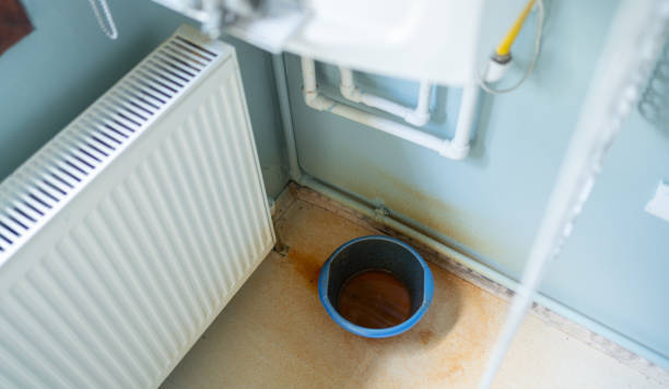 Best Fire Damage Restoration  in Clio, AL