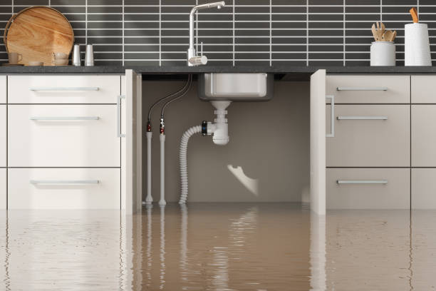 Best 24-hour water damage restoration  in Clio, AL